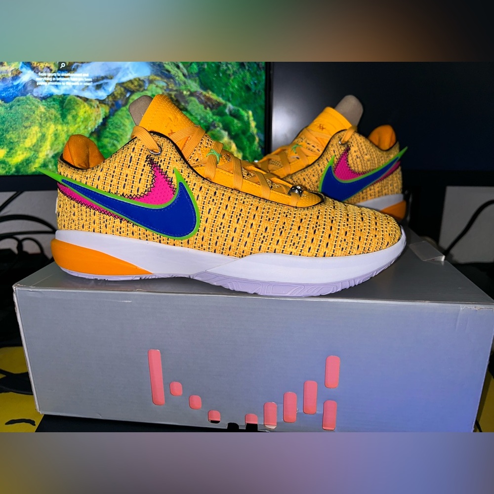 Lebron XX Basketball Shoes